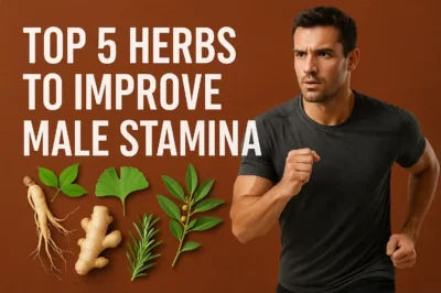 herbs to improve male stamina