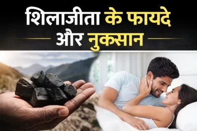 शिलाजीत के फायदे और नुकसान: जानें इसके चौंकाने वाले गुण व सही उपयोग